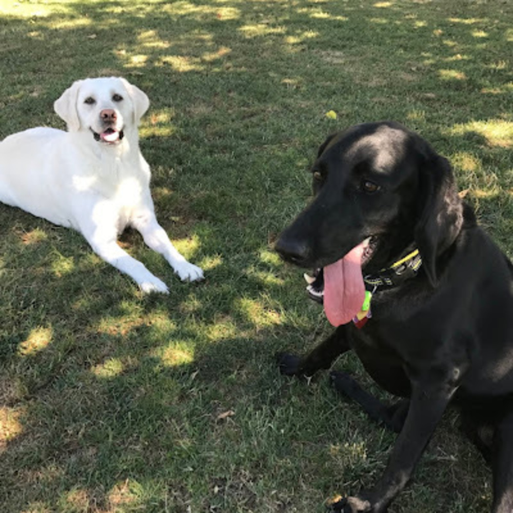 Meet your Posher, Susann